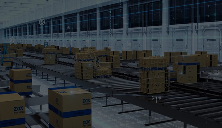 Intelligent Packaging & Industrial Conveying Solutions